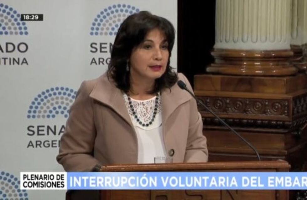 Nora Maciel, sobre las posturas en contra del aborto: "Solo hablaban de matar y asesinar"