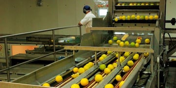 Más tecnología para mejorar el perfil exportador de Misiones\u002E