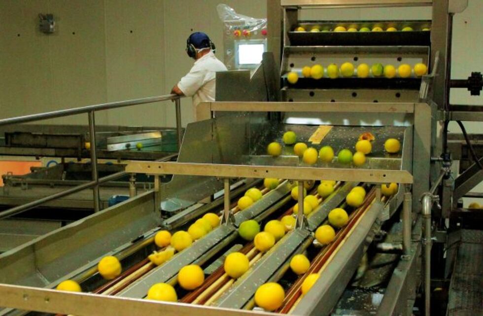 Buscan mejorar el perfil exportador de las empresas alimenticias misioneras