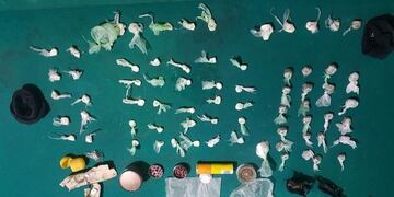 Narcotráfico en la provincia de Salta (Web)