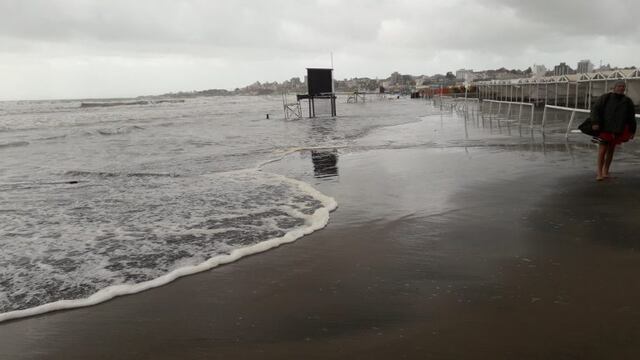 Descubren la presencia de componentes de petróleo cancerígeno en algunas playas de Mar del Plata (Fotos: @martin_zampatti)