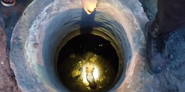 La mascota estaba sana, aunque era imposible alcanzarla desde arriba\u002E (@minsegsf)