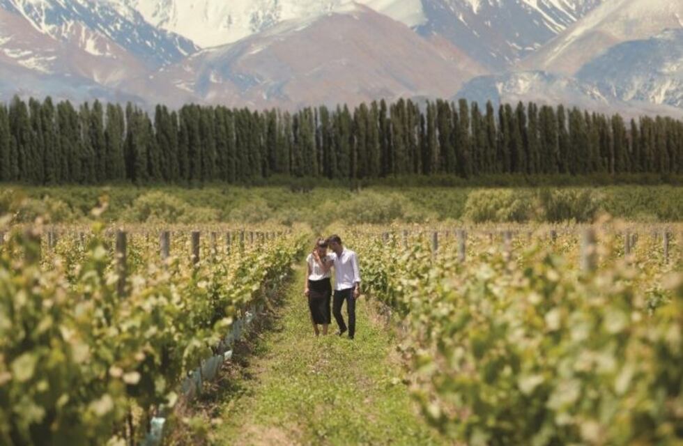 Mendoza: la provincia para disfrutar del enoturismo en cada uno de sus rincones