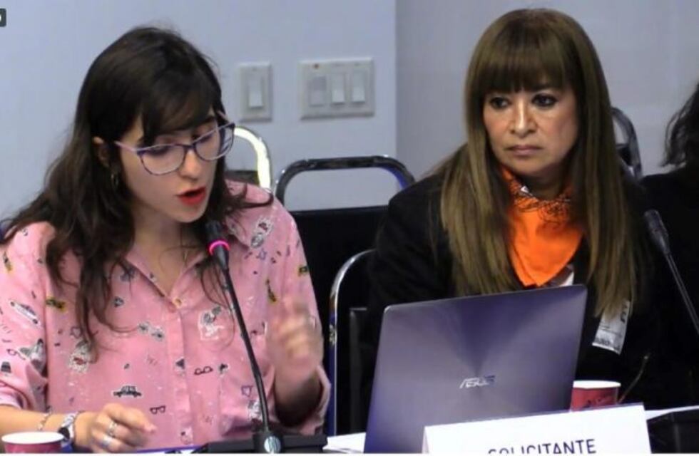 El "caso Lucia" se trató el tema en la Comisión Interamericana de Derechos Humanos