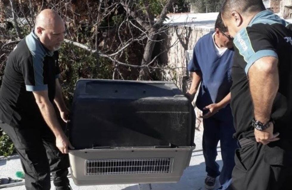 Lo multaron por descuidar a su perro que estaba encerrado, deshidratado y con sarna