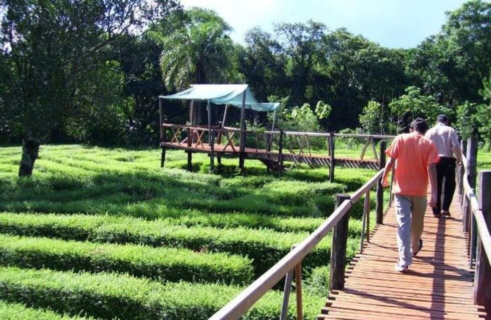 Gran número de visitantes en los atractivos de Montecarlo, aunque la ocupación hotelera sigue siendo nula