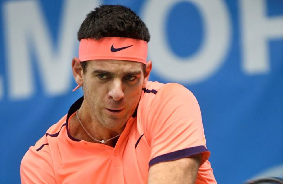 Del Potro avanzó a cuartos en Estocolmo y enfrentará al croata Karlovic
