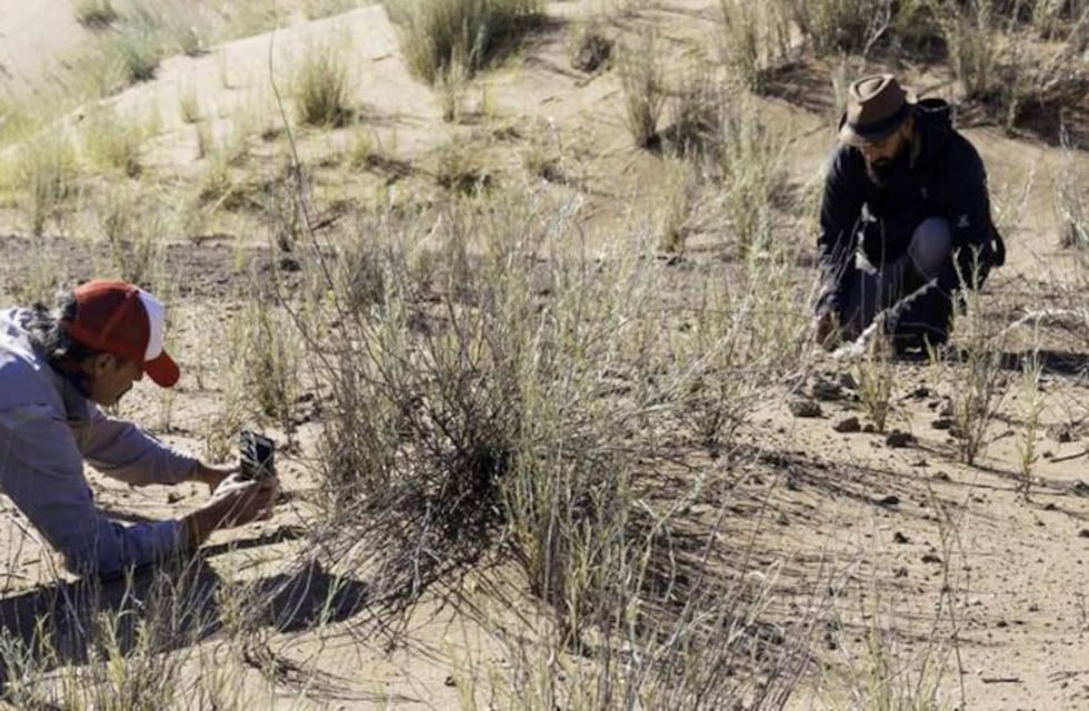 Localizan el sitio en el que hallaron los restos de un megaterio en La Pampa
