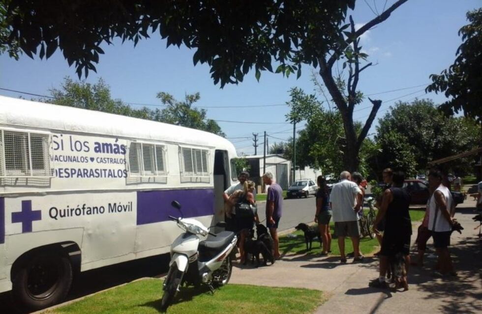 Siguen las castraciones, pero con turno