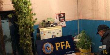 Operativo Policía Federal