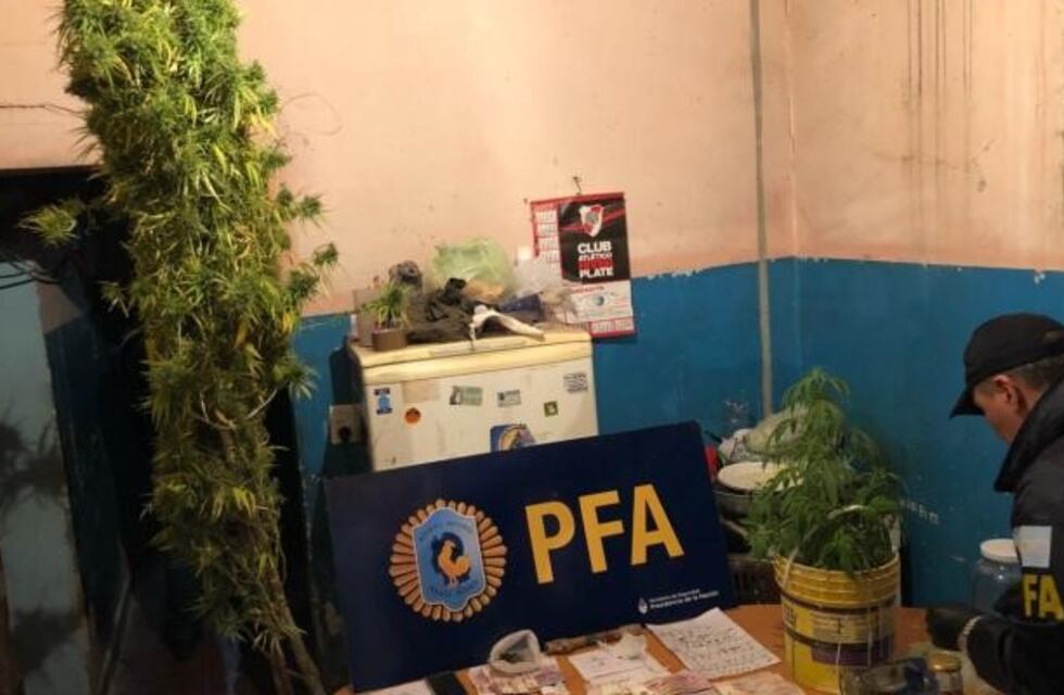 Policía Federal secuestró una importante cantidad de droga