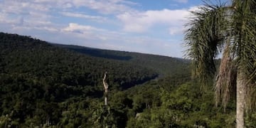 Cuatro cazadores detenidos en la Biosfera Yabotí, entre ellos un concejal de San Pedro