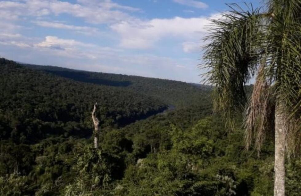 Cuatro cazadores detenidos en la Biosfera Yabotí, entre ellos un concejal de San Pedro