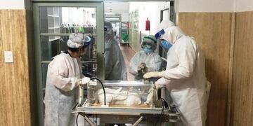 Se produjo el octavo nacimiento en el Hospital de Campaña\u002E