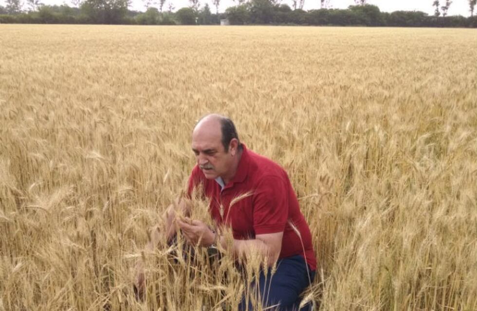 Laburos difíciles: la lucha contra las plagas en los campos