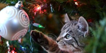 10 países en los que no se festeja la Navidad