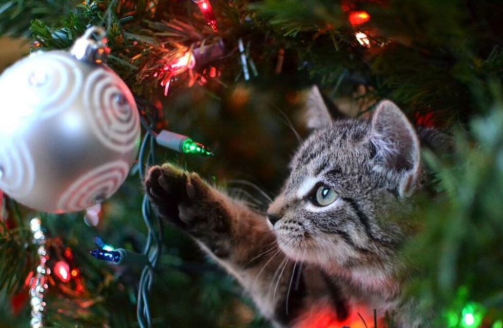 10 países en los que no se festeja la Navidad