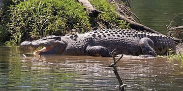 Foto: Handout DAVID WHITE / AFP\u002E