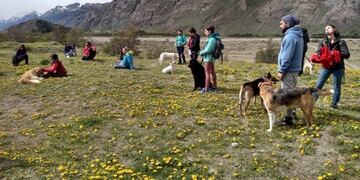 Caminata saludable "Para vos y tu Mascota"