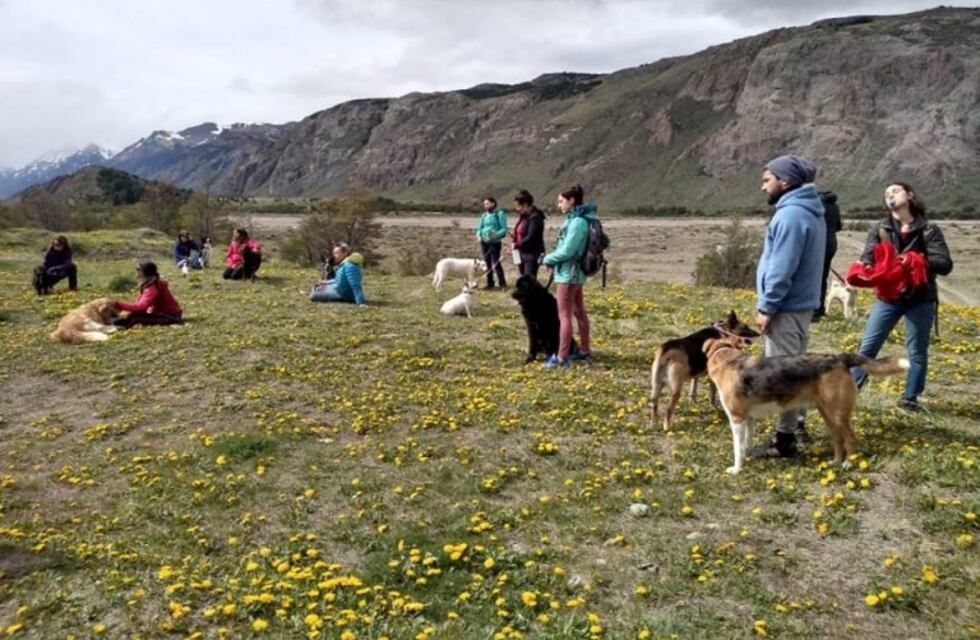 Caminata saludable "Para vos y tu Mascota"