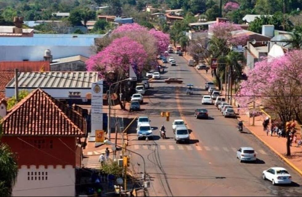 Desde este domingo se podrán realizar caminatas recreativas en Eldorado: conocé los circuitos habilitados