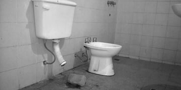 Ladrones se llevaron hasta el inodoro tras desvalijar una vivienda en La Rioja