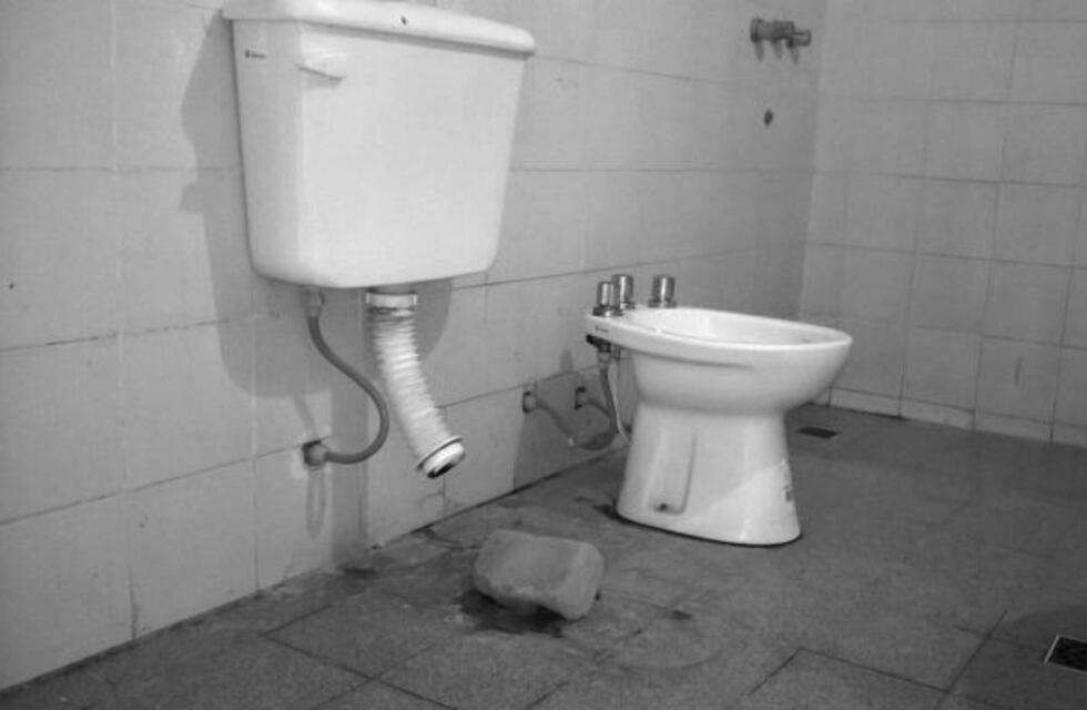 Ladrones se llevaron hasta el inodoro tras desvalijar una vivienda en La Rioja