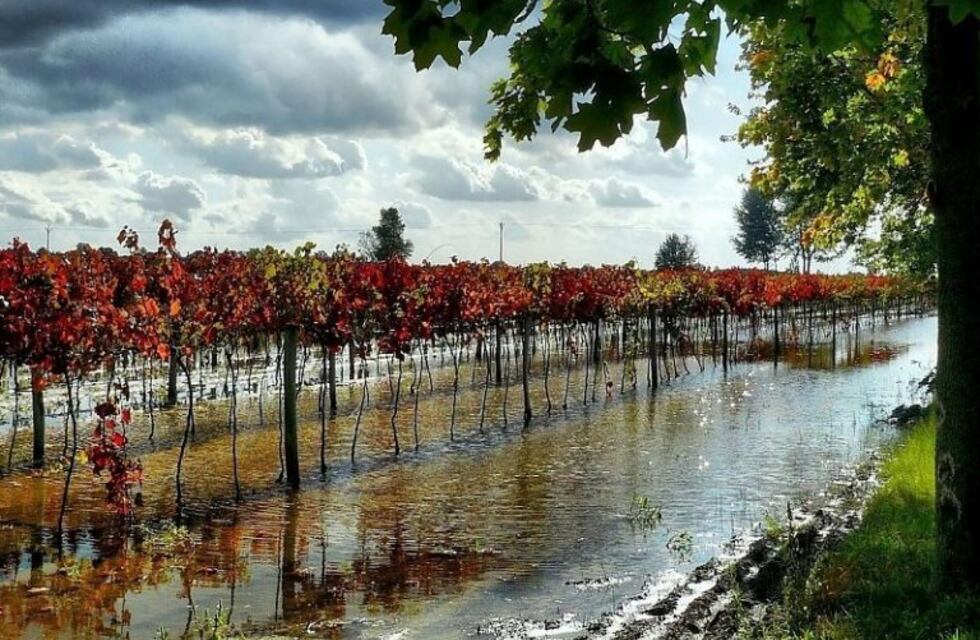 Por las fuertes tormentas en Mendoza, la lucha antigranizo trabajó con intensidad