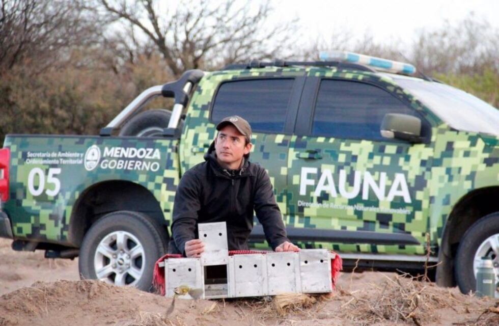 Tres personas fueron detenidas por vender aves silvestres en Luján de Cuyo