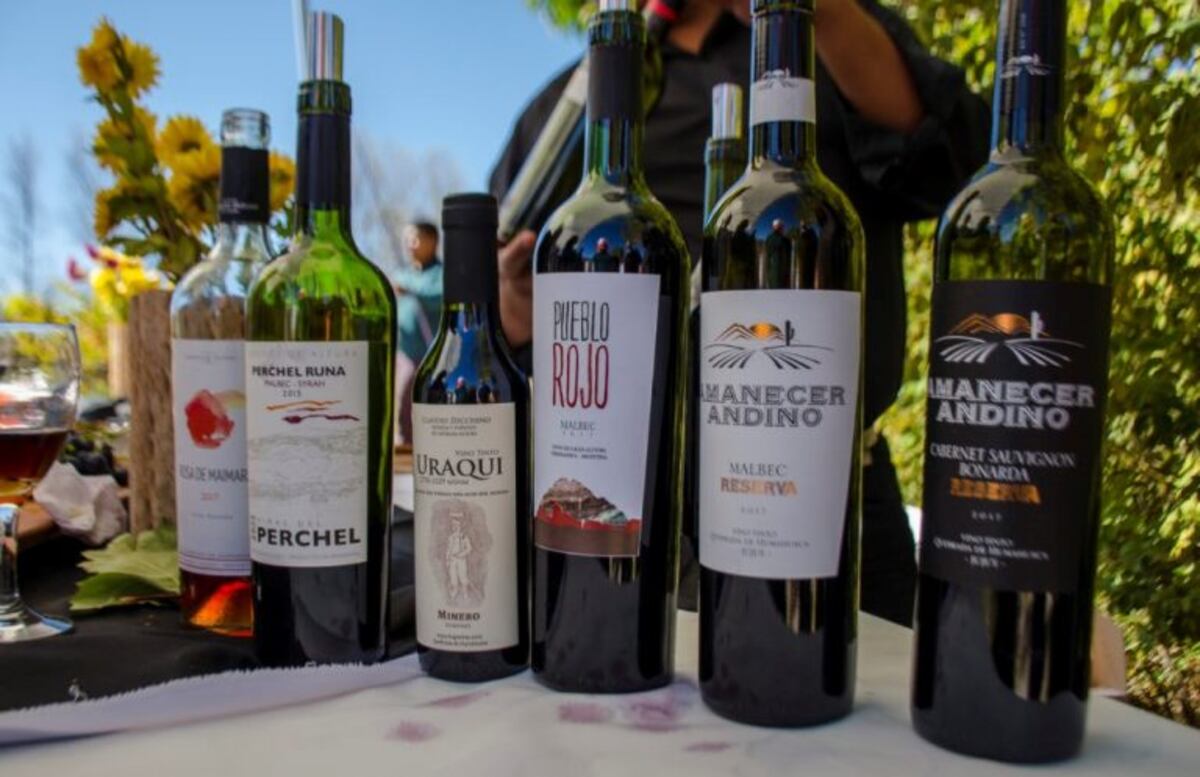 Una variedad de vinos jujeños procedentes de viñedos de altura, aparecen en el universo sommelier\u002E