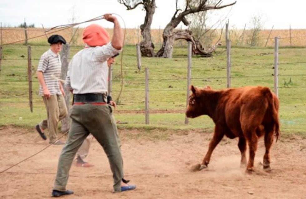 Una yerra en Anguil terminó con 27 demorados por violar la cuarentena