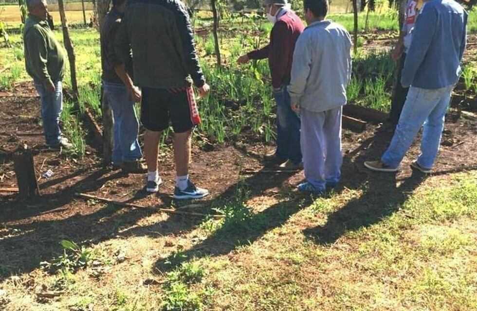 Internos del penal de Eldorado se capacitan en producción agropecuaria