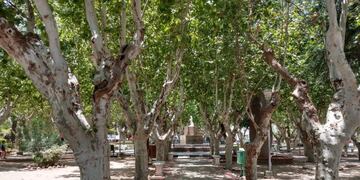 Plaza 9 de Julio. ()Foto: Mariana Herrera.