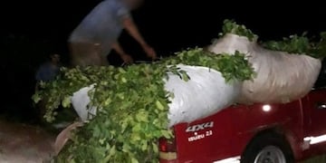 Productores de yerba y ganado protestaron en Montecarlo por los reiterados robos\u002E