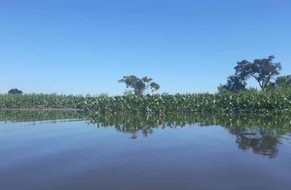 Historias de pueblos: relatos de coraje y tragedia en el río Correntoso
