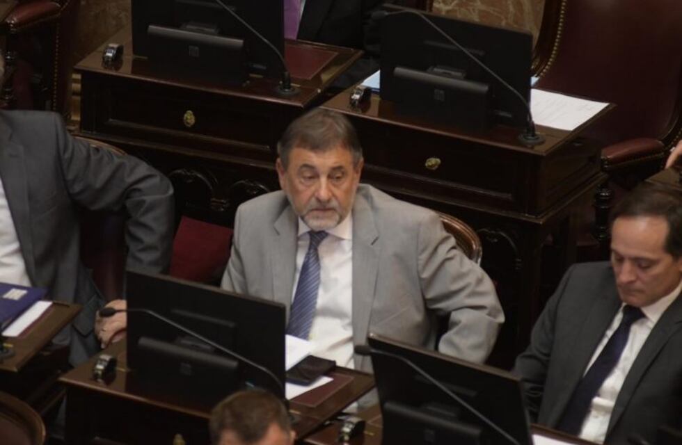 Caserio: "La ley de emergencia piensa en la Argentina vulnerable que no come"