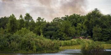 Nuevo foco de incendio en la Reserva Ecológica de la Costanera Sur\u002E (Twitter)