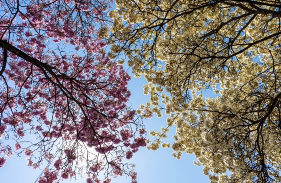 Mañana fría y con mucho sol en Rafaela para despedir al invierno