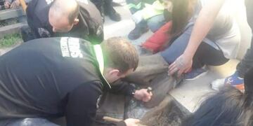 Rescatan a un bebe de un año y medio que cayó a un pozo en La Plata\u002E