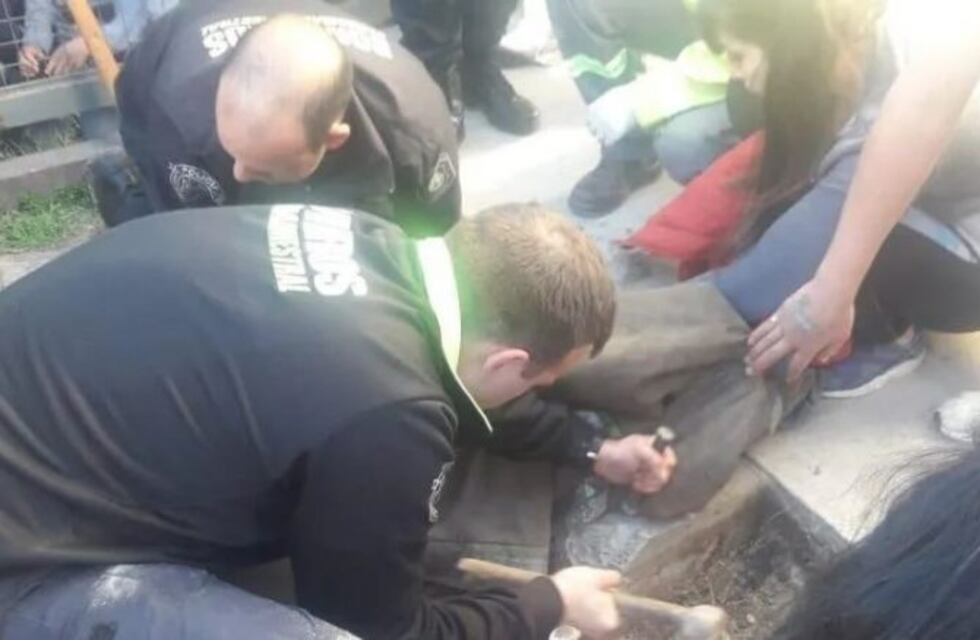 Rescataron a un bebé que se cayó a un sumidero en La Plata