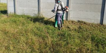 desmalezado y limpieza de lotes baldíos en Rafaela