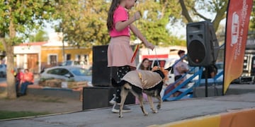 Día del animal en Arroyito 2023