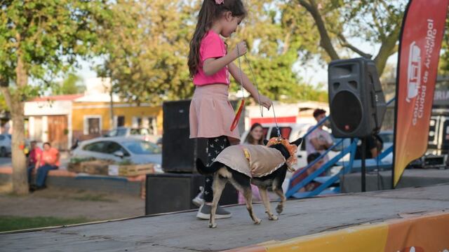 Día del animal en Arroyito 2023