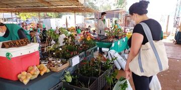 Los feriantes se preparan para poder cobrar por medios electrónicos.