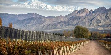 La bodega más antigua de San Rafael fue creada por el mismo fundador