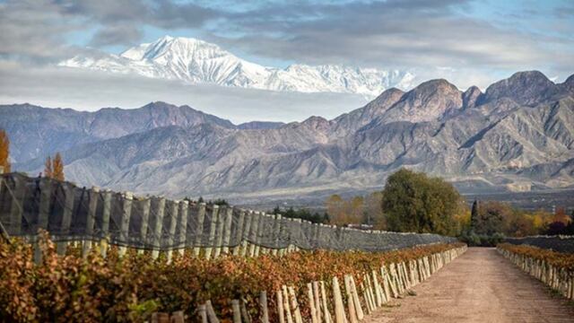La bodega más antigua de San Rafael fue creada por el mismo fundador