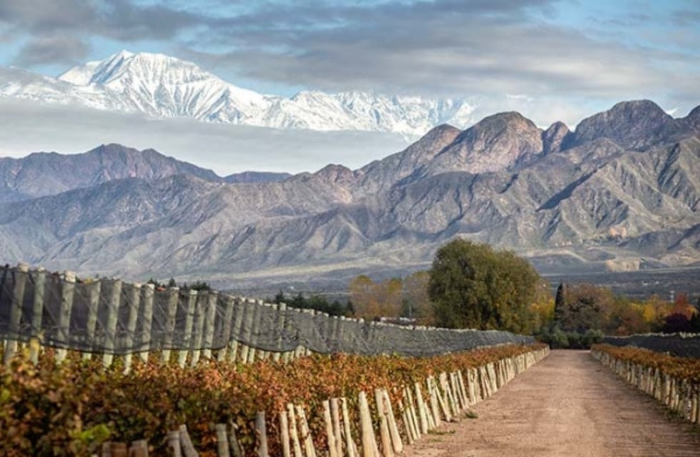 De película: la bodega de San Rafael que fue creada por el fundador de la ciudad y conserva maquinarias del siglo XIX