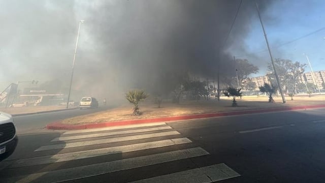 Quemaban pastizales pero el vientos descontroló las llamas.