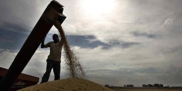 SIN FRENO. El precio de la soja sigue subiendo en el mercado de Chicago; está en el valor más alto en más de seis años. (La Voz)