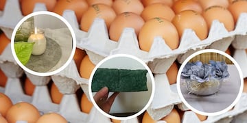 No solo para los mosquitos: 3 ideas para reciclar al máximo maples de huevos